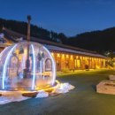 스테이코 이미지