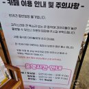 선셋커피 - 중구 용유서로 161 | 인천 영종도 애견카페 (중형 유기견), 선셋커피 방문후기