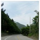 고창 방장산(12. 6. 2)과 축령산 치유의 숲 / 산림청 백대명산
