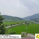 평사(여) 이미지