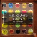 술샘박물관(젊은달 와이파크) | 영월가볼만한곳 젊은달와이파크 술샘박물관