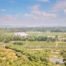 요환농장 이미지