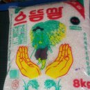 동천특허