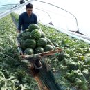 함안축산업협동조합 이미지