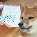 해피 - 관악구 미성3길 9 | 해피