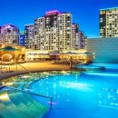 아쿠아필드 고양 이미지