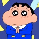 사파리푸드