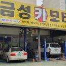 비손모터스 이미지