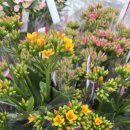 생활용품할인마트 이미지