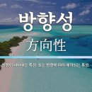 감성 피티 이미지