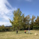 좋은나무숲유치원 이미지