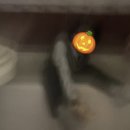 동복마을운동장 | 2025년 11월