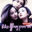 포스토리 이미지