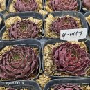g0157 네이버블로그