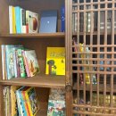 세화 동백그늘 | 제주 동쪽 숙소 세화 동백 그늘 재방문의사 있는곳