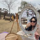 308 | 수원 행궁동 방화수류정 피크닉 대여 추천 피크닉데이 벚꽃 세트 후기