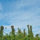 오렌지 펜션 이미지