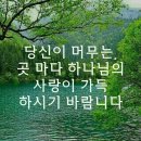 🌳 금이 있는 하윌라 온 땅 중랑생명수 이미지