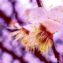 중동공원 이미지