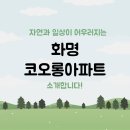 솔내음공인중개사사무소 이미지