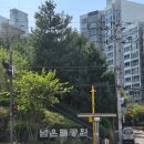 넘은들근린공원 이미지