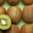 웅남동104 이미지