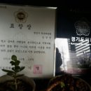 도스어도스