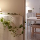 마이디어 민박 이미지