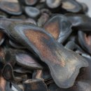 드림부부한의원 이미지