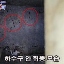 도봉-도봉-서울도봉-2138 이미지