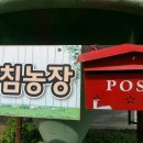 아침농장 이미지