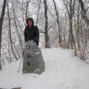 태백산맥 이미지