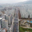 분당-236 이미지