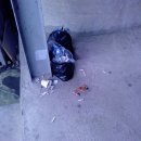 오죽경로당 이미지