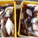 공현진항 이미지