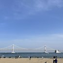 와와백반 | 6년만에 다시 찾은 부산