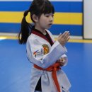 SOO태권도장 이미지