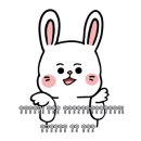 더만두 이미지