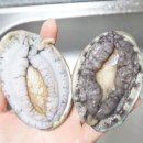 주식회사 마리요리 이미지