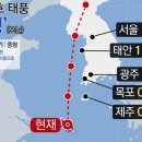 다비다소잉 이미지