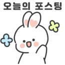 세종의 아침 태권도(산울관) 이미지