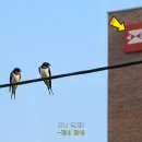 우정광고기획 - 서구 가정로138번길 13 | 우정광고기획