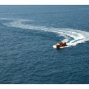 제주의 추억 이미지