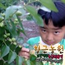 형근농원 이미지