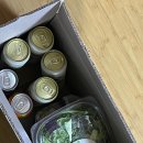오프빗 이미지