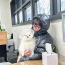 친구가 될 동물병원 | 다산 동물병원 다녀왔어요, 남양주 친구가 될 동물병원 강아지 귀 치료 방문기