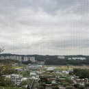 세븐일레븐 강화행운점 이미지