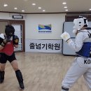 늘품태권도 이미지