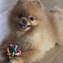 얌샘김밥 아산순천향대점 이미지