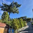 충곡로 | 🍂 논산 탑정호출렁다리펜션 이용후기